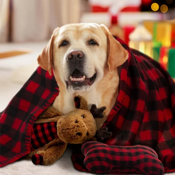 Dog Holiday Gift Set Dog Holiday Gift Sets